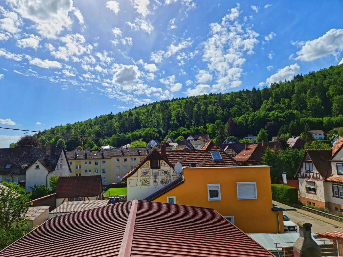 Pension Transilvania Immendingen Екстер'єр фото