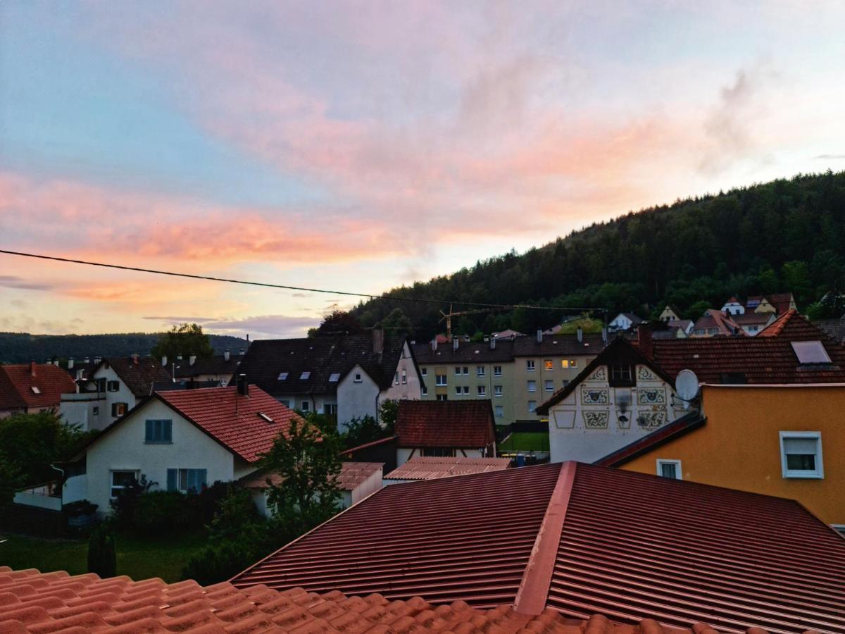 Pension Transilvania Immendingen Екстер'єр фото